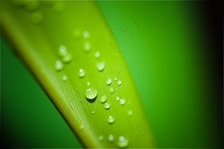 水滴，水，水滴，雨，泪，泪滴，液体