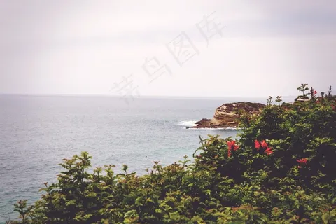 海洋,湖泊,树,山峦,大果柏木,海景观自然海洋