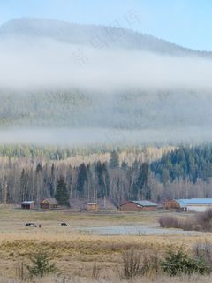 清晨，冷淡，景观，风景，有雾，弗罗斯特