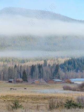 清晨，冷淡，景观，风景，有雾，弗罗斯特