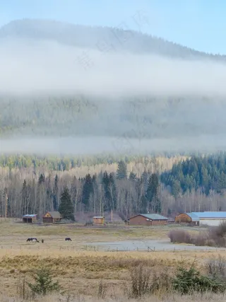清晨，冷淡，景观，风景，有雾，弗罗斯特