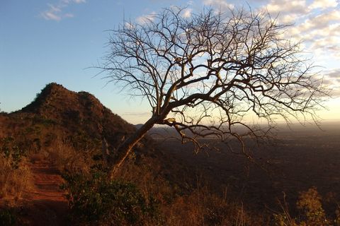 日出，肯尼亚，非洲，太阳，早晨，假期