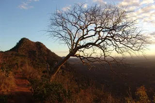 日出，肯尼亚，非洲，太阳，早晨，假期