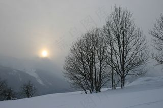 日落，冬天，树，冷，雪，雾