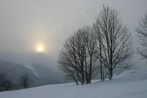 日落,冬天,树,冷,雪,雾 日落,冬天,树,冷,雪,雾