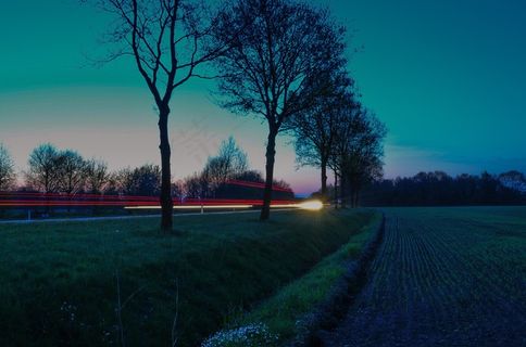 农村，农村，夜，黄昏，晚上，树木