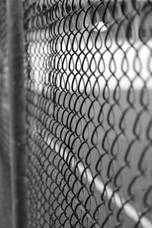 网络，田野，足球，草地，比赛