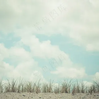 天空,白云,草原,卷积云,麦田,乌云