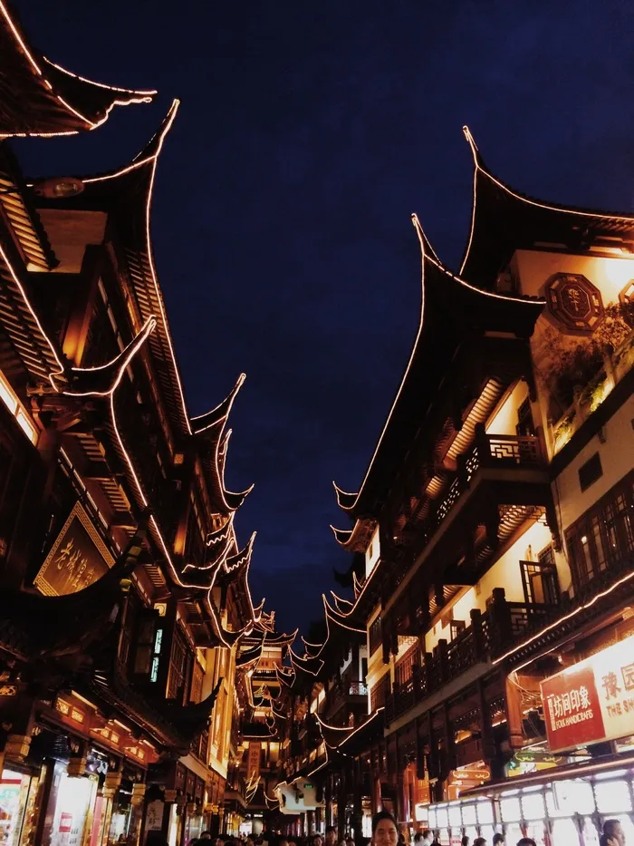 中国，上海，仰望，城God庙，夜，光