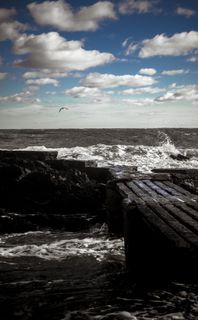 海，天空，云，地平线，风，自然，景观