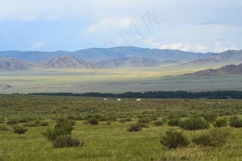 蒙古，草原，蒙古包，阿尔泰