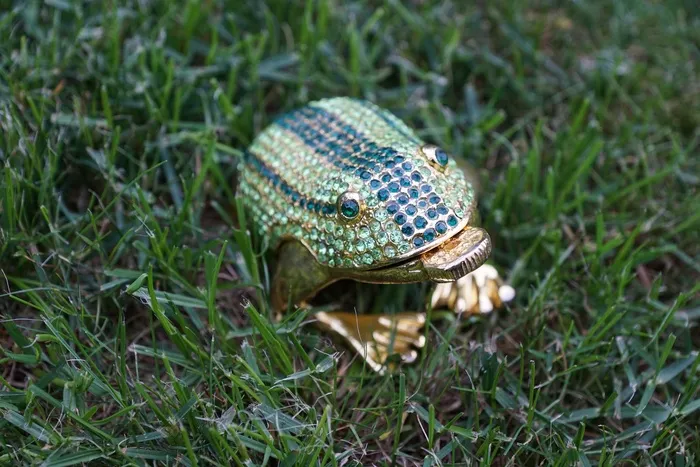 青蛙，无花果，运气，草，花园，绿色，动物