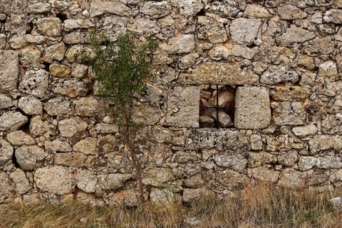 石墙，石头，树，窗口，交叉