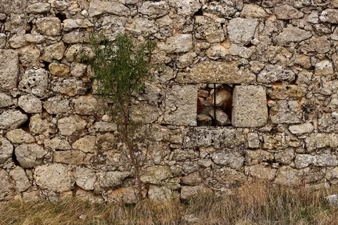 石墙，石头，树，窗口，交叉