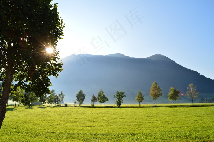 日出，早晨，秋天，山，绿化，阿尔高