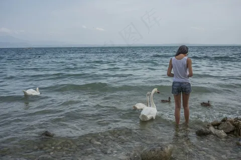 人,女孩,喂养,天鹅,鸟,鸭,自然 人,女孩,喂养,天鹅,鸟,鸭,自然
