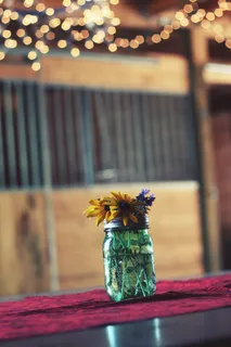 鲜花，玻璃，罐，雏菊，黄色，装饰