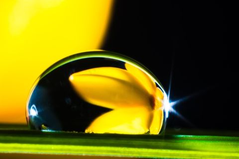 一滴水，滴水，草叶，开花，盛开