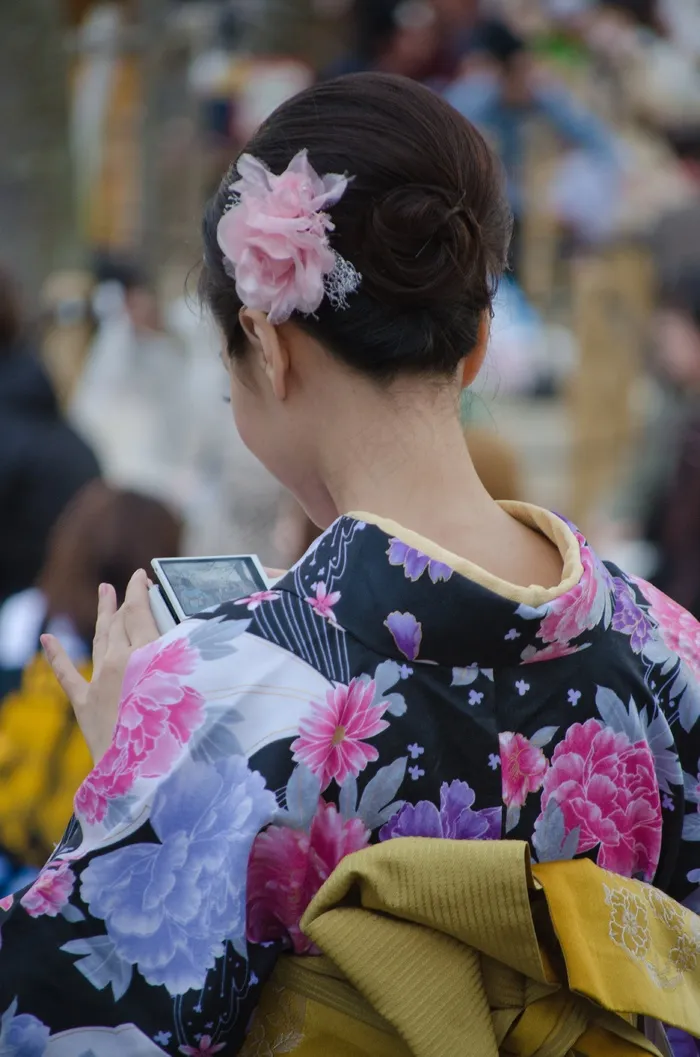 尼康镜头，2014，4月，亚洲，多彩，数字，Dx