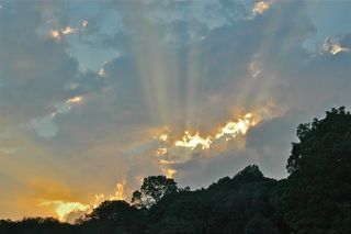 日落，太阳，云团，户外，光线，条纹，绿化