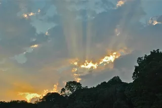 日落，太阳，云团，户外，光线，条纹，绿化