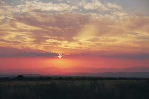 天空,霞光,树,书本,卷积云,在西班牙的日落