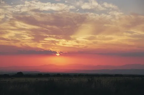 天空,霞光,树,书本,卷积云,在西班牙的日落 天空,霞光,树,书本,卷积云,在西班牙的日落