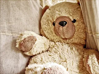 小熊，米色，娃娃