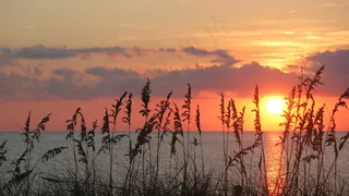 自然，旅行，风景，海滩，水