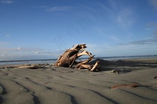 海滩，木材，沙，海洋，海岸，海岸，海景