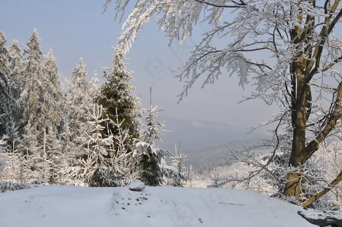 冬天，雪，山，树，景观，视图