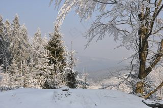 冬天，雪，山，树，景观，视图