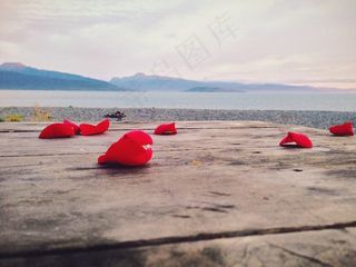 玫瑰花瓣，码头，岩石，湖泊，水，山