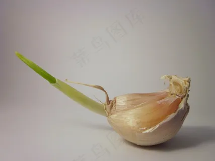 食品，大蒜