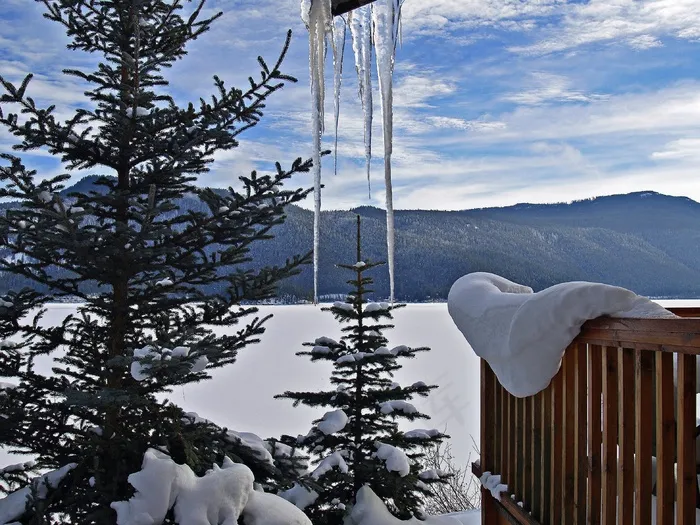 冬季，风光，树木，冰柱，冷，雪，景观
