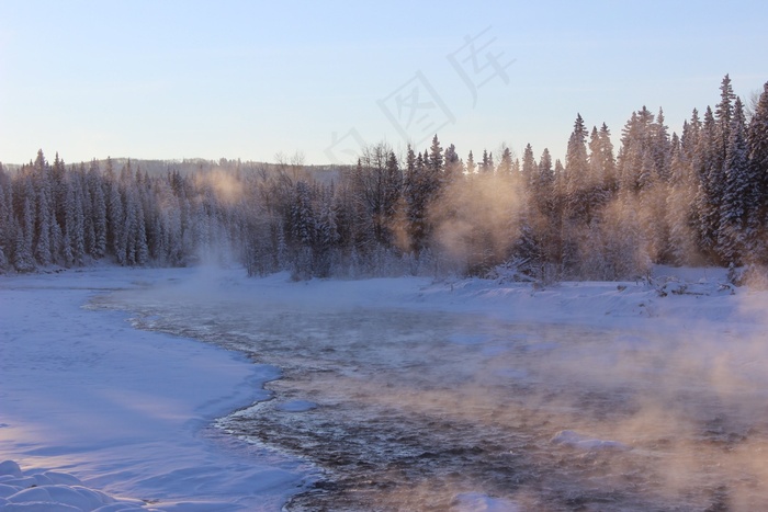 冬季，森林，森林，常绿，雪，冻结，弗罗斯特