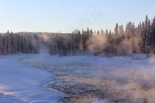 冬季，森林，森林，常绿，雪，冻结，弗罗斯特
