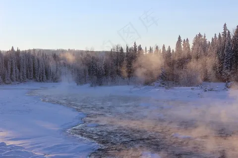 冬季,森林,森林,常绿,雪,冻结,弗罗斯特 冬季,森林,森林,常绿,雪,冻结,弗罗斯特