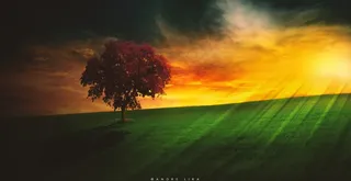 景观，Sol，地平线，全景图，巴西，下午