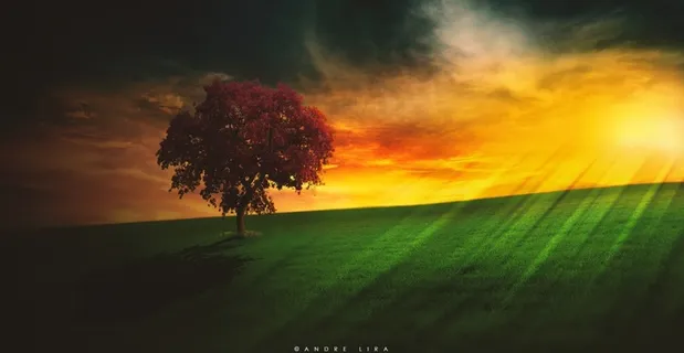 景观,Sol,地平线,全景图,巴西,下午 景观,Sol,地平线,全景图,巴西,下午