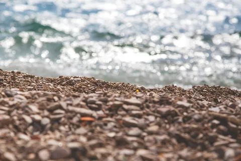 海滩，石头，海，海洋，光