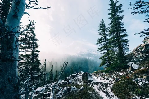 山峦,冰雪,树,美人松,雪松,雪山森林冬季 山峦,冰雪,树,美人松,雪松,雪山森林冬季