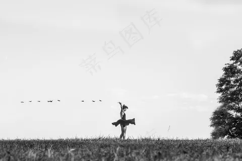 舞者，女士，田野，无忧无虑，自由，跳舞，现场