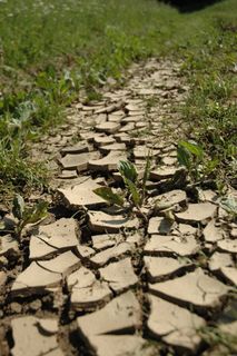 地球，干燥，自然，环境，土地，自然