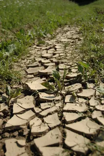 地球，干燥，自然，环境，土地，自然