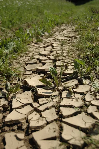 地球，干燥，自然，环境，土地，自然