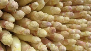 芦笋，市场，食品，花园，吃，蔬菜