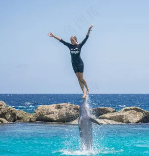 海豚，特技，人，跳跃，动物，蓝色