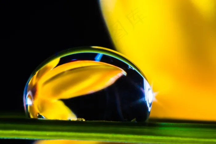 一滴水，滴水，草叶，开花，盛开