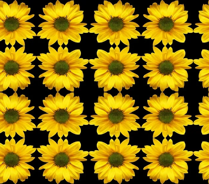 天文学，无缝，图案，计算机，对称